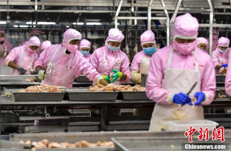 综合布线：企业网络建设的基石